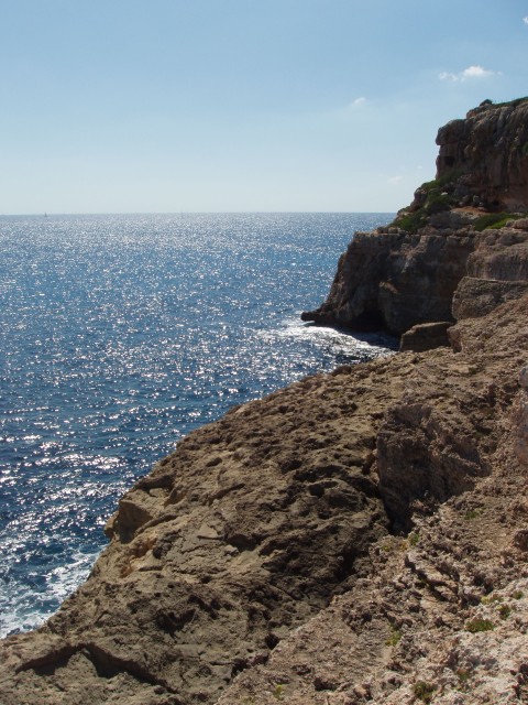 P1010019.JPG