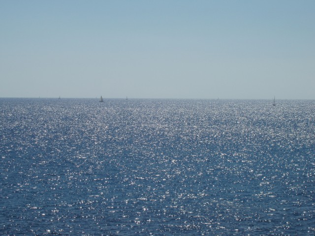 P1010020.JPG