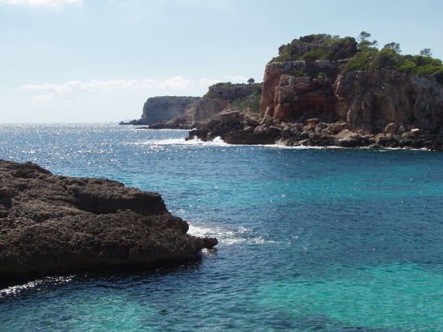 P1010028.JPG