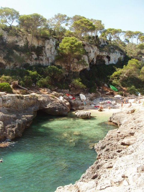 P1010029.JPG