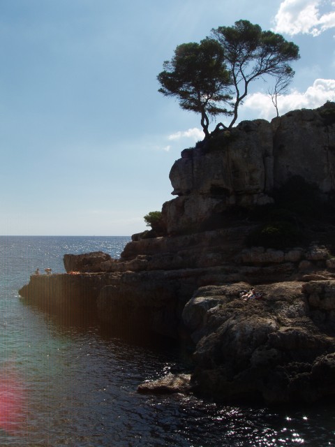 P1010032.JPG