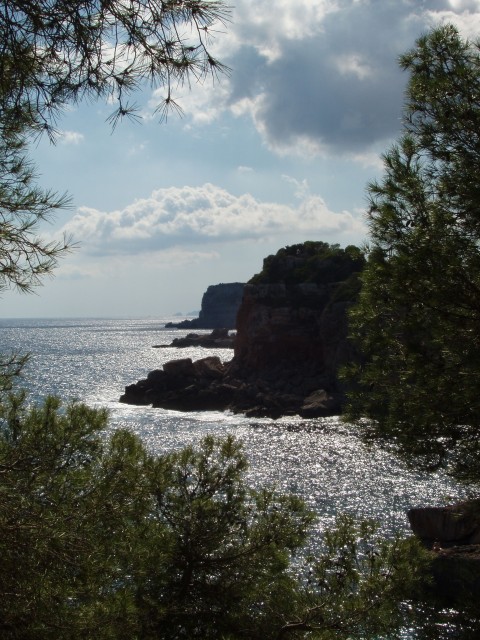 P1010036.JPG