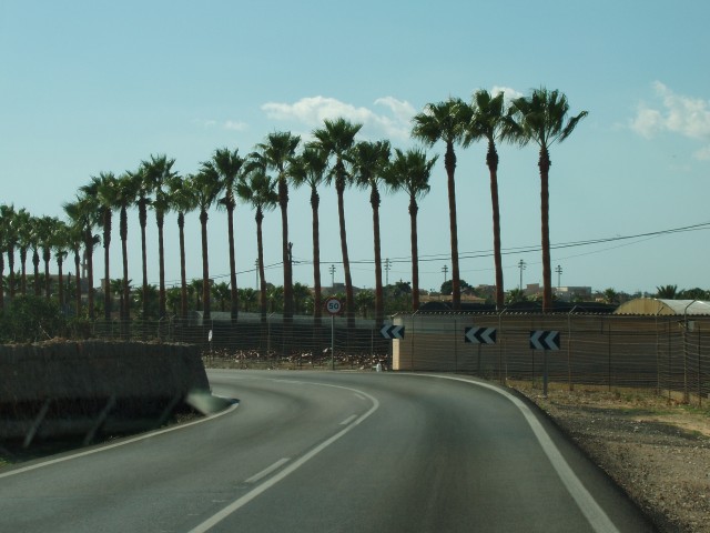 P1010040.JPG