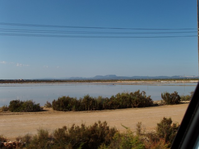P1010042.JPG