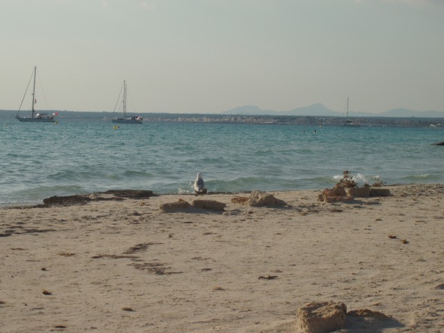 P1010044.JPG