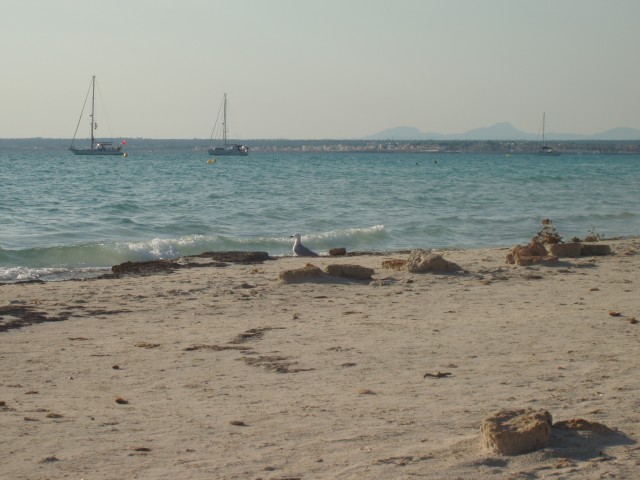 P1010045.JPG