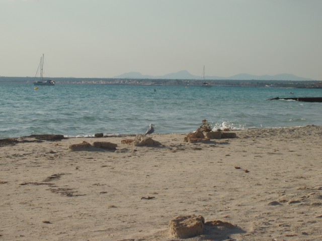 P1010046.JPG
