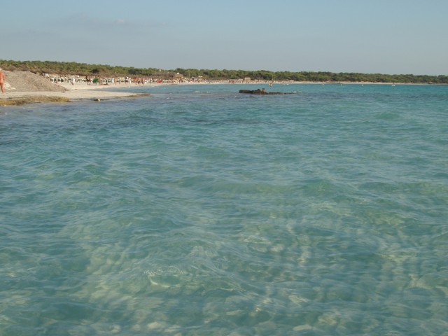 P1010050.JPG