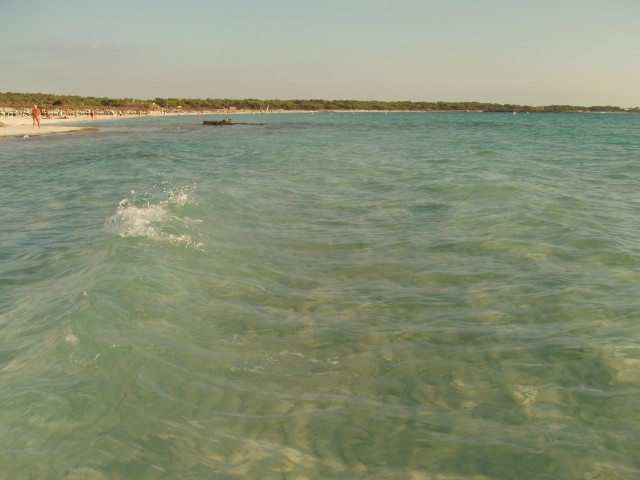 P1010051.JPG