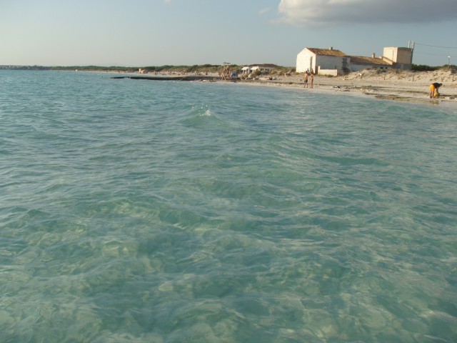 P1010052.JPG