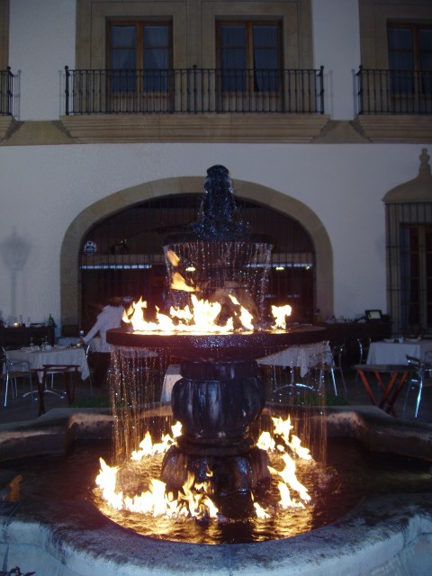 P1010071.JPG