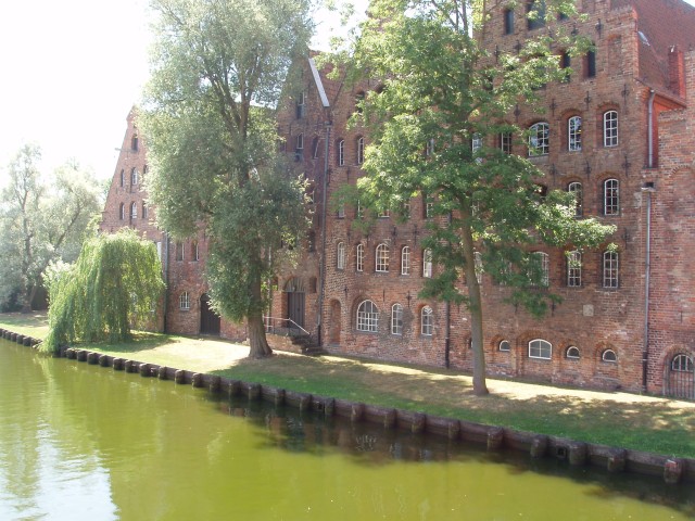p5090047.jpg