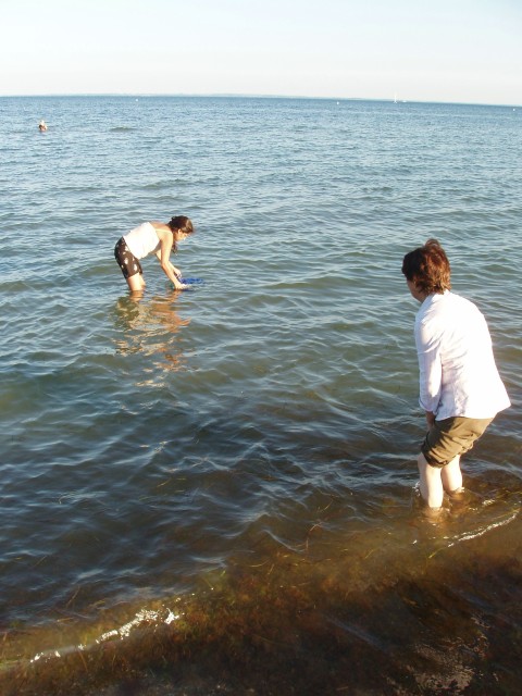 p5090106.jpg