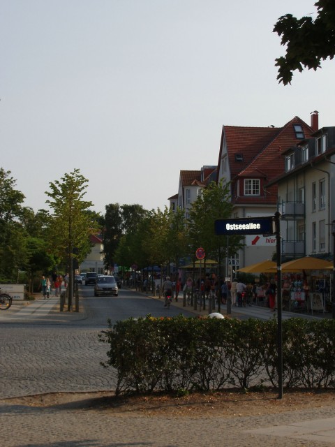 p5100212.jpg