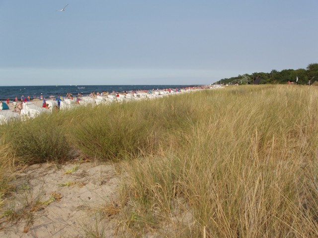 p5100213.jpg
