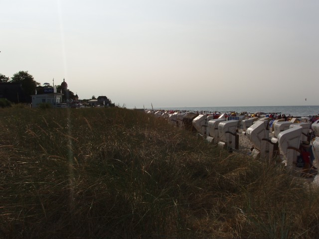 p5100214.jpg