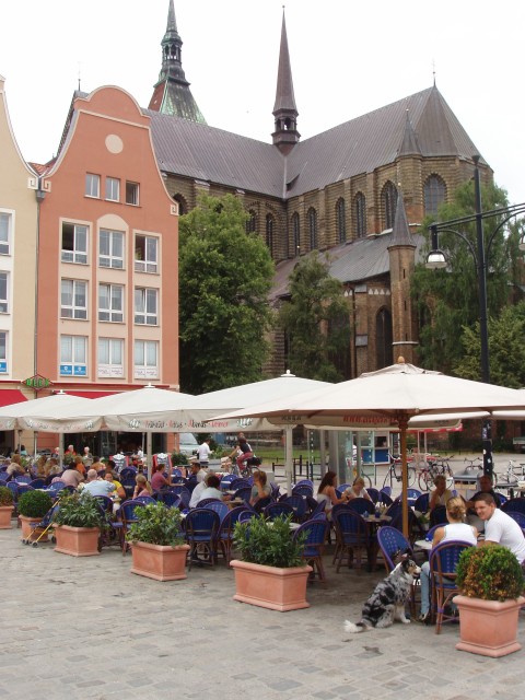 p5110241.jpg