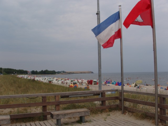 p5110272.jpg