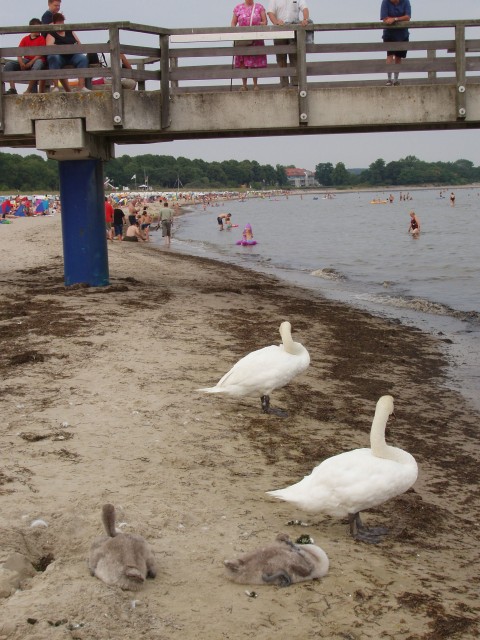 p5110276.jpg