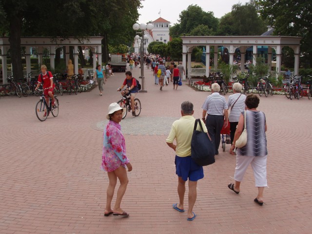 p5110281.jpg