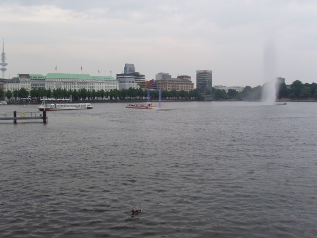 p5110299.jpg