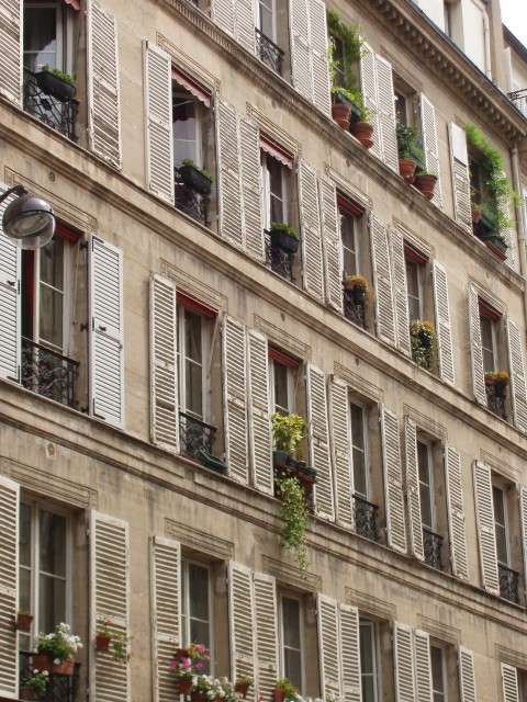 p4221030.jpg