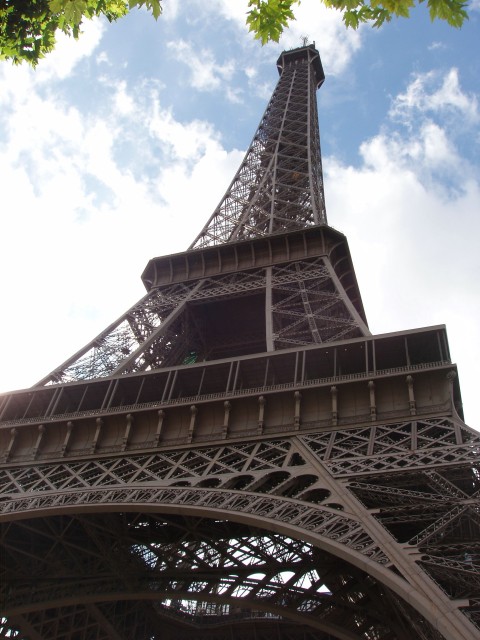 p4221084.jpg
