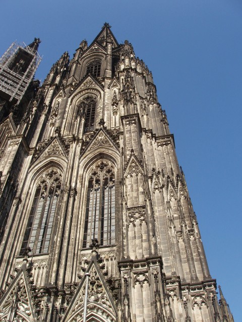 p4231108.jpg