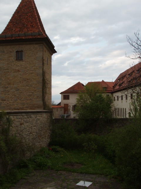 P1010261.JPG