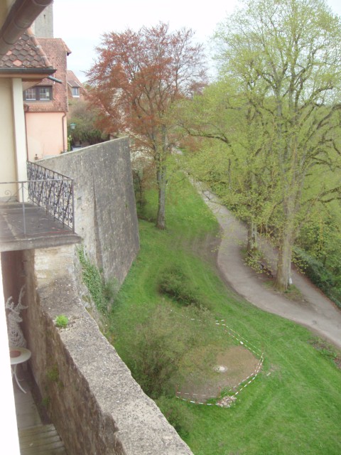 P1010266.JPG