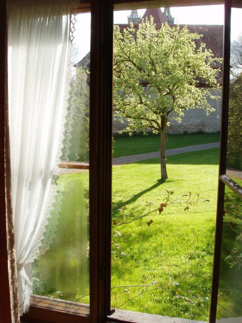 P1010288.JPG