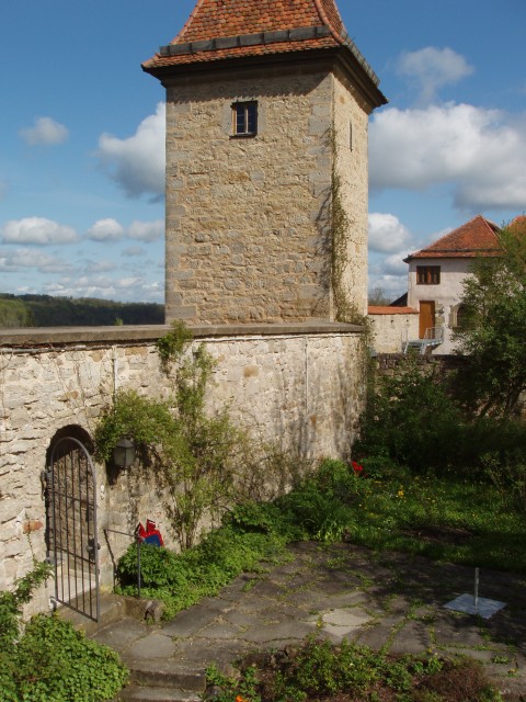 P1010290.JPG