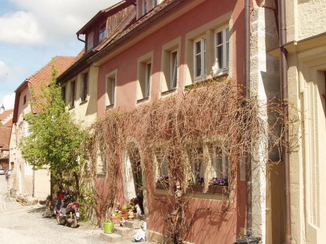P1010306.JPG