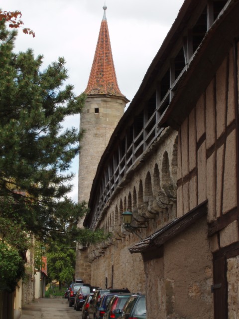 P1010321.JPG