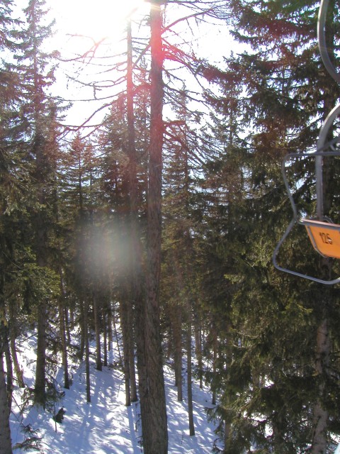 P1010121.jpg