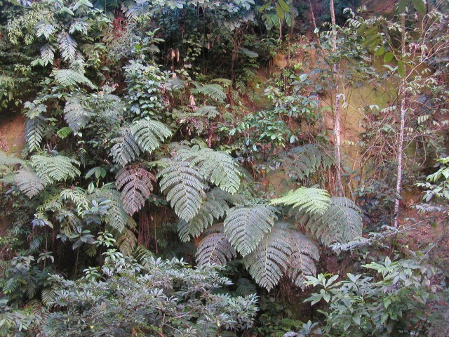 P1010100.JPG