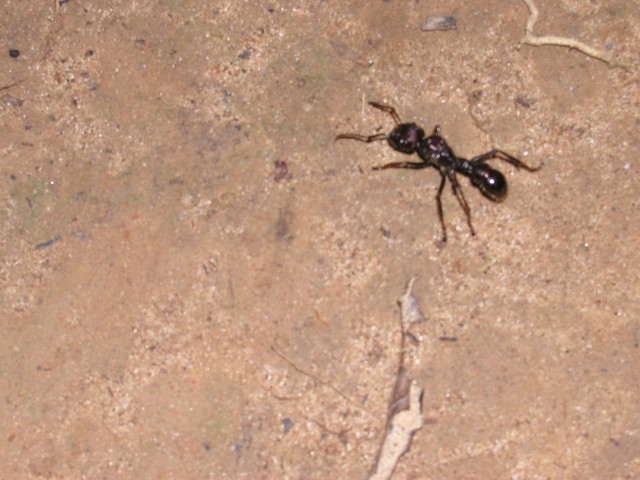 P1010103.JPG