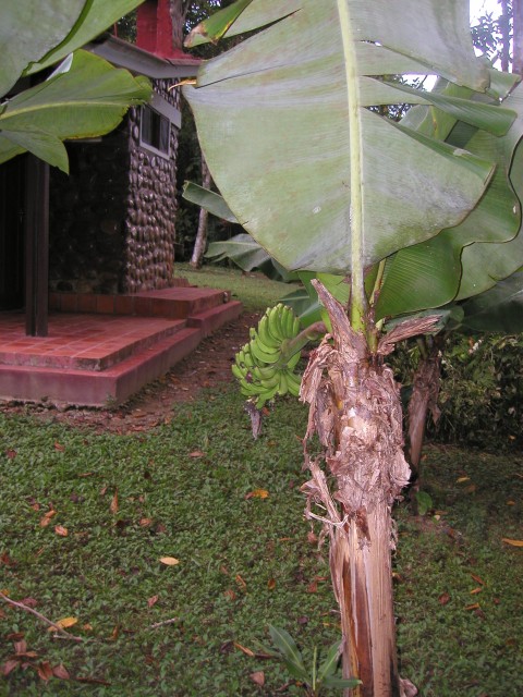 P1010111.JPG