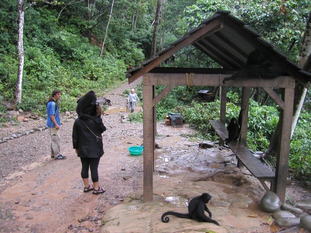 P1010124.JPG