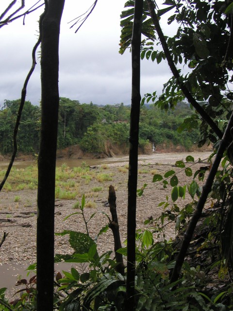 P1010125.JPG