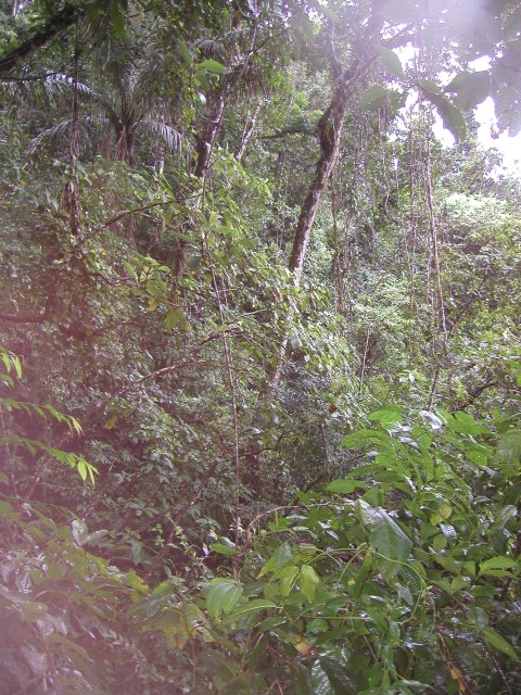 P1010127.JPG