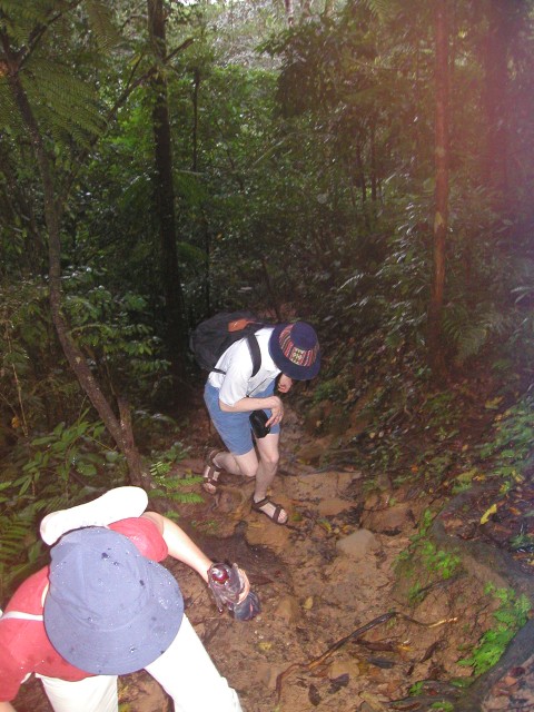 P1010129.JPG