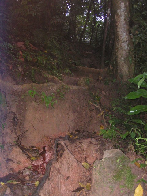 P1010130.JPG