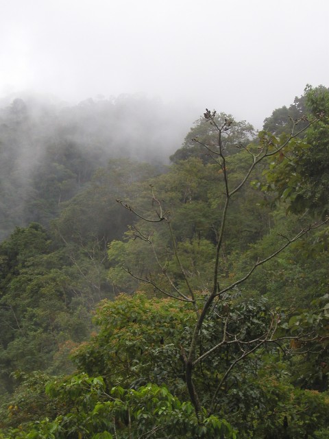 P1010132.JPG