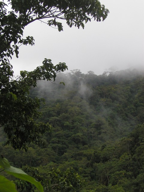 P1010133.JPG