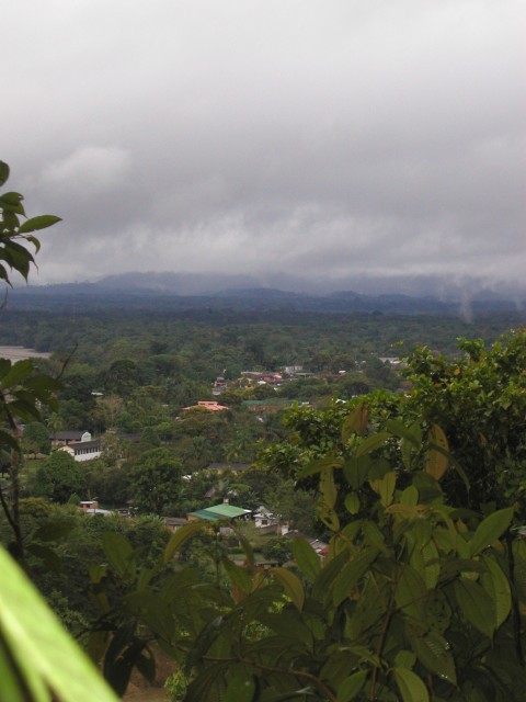 P1010134.JPG
