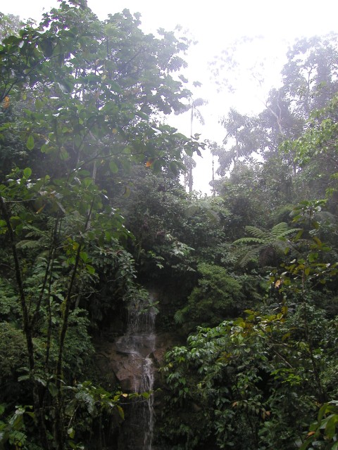 P1010138.JPG