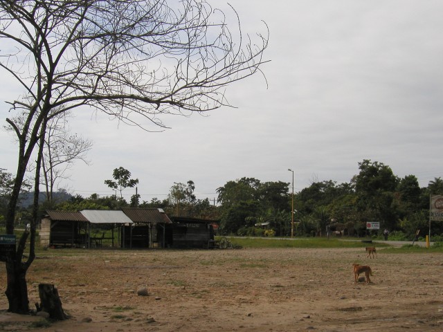 P1010148.JPG