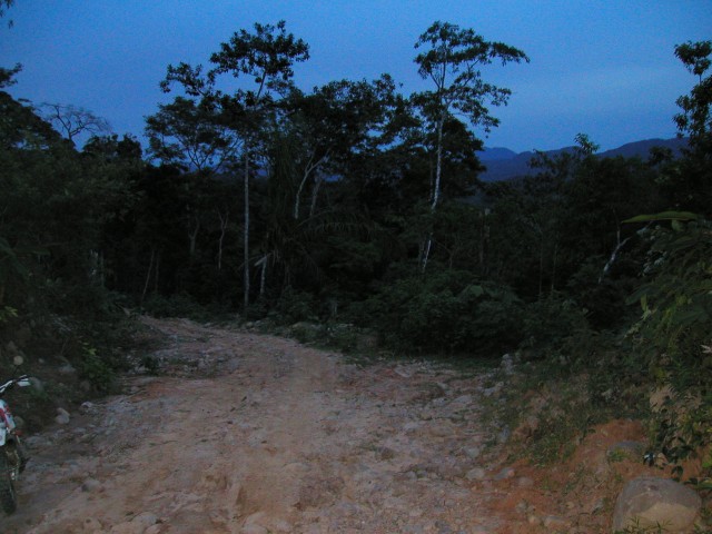 P1010084.JPG
