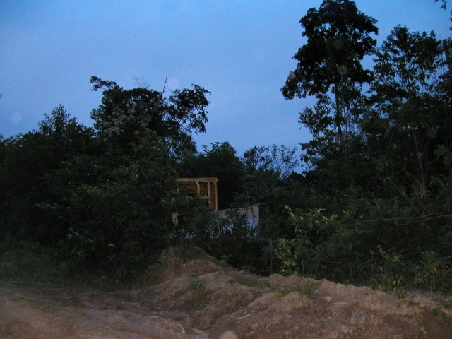 P1010085.JPG